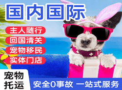 湛江机场物流国际宠物托运 【国